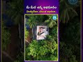 మీ మీద ఉన్న అభిమానం వెలకట్టలేనిది..సమంత అభిమాని| iDream Media