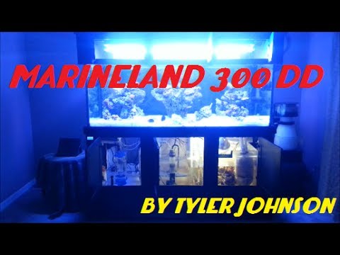 300 gallon marineland dd system walk through youtube