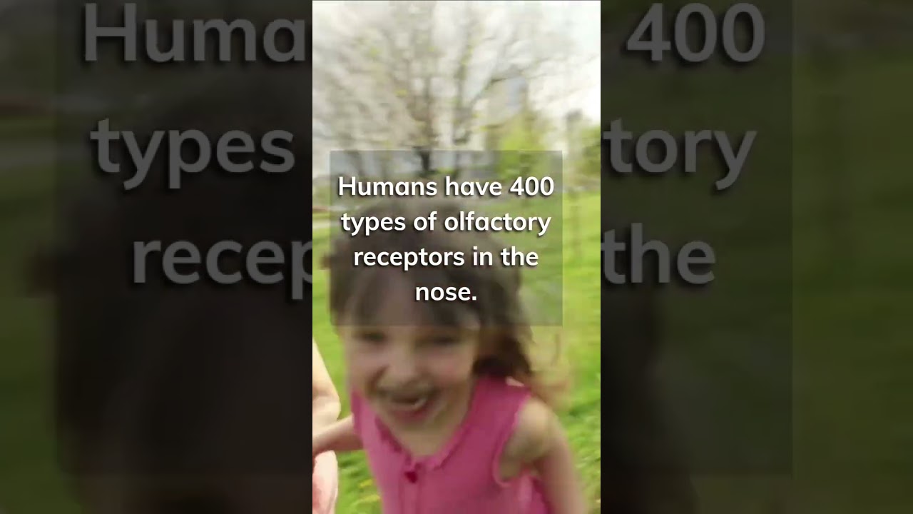 How Many Scents Can a Human Detect?