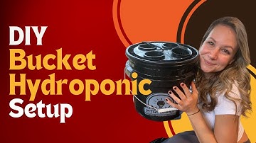 DIY Hydroponic Bucket Setup
