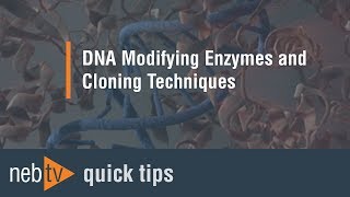 Quick Tips - Why is there precipitate in my T4 DNA ligase buffer?