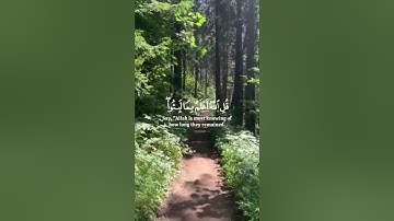 أرح قلبك مع الشيخ ياسر الدوسري ❤ سورة الكهف الآية 23_27