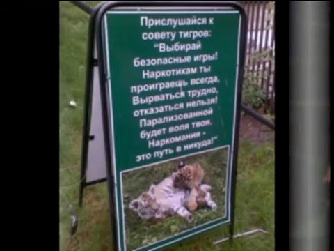 Скажи наркотикам НЕТ!!!!!!!!!!