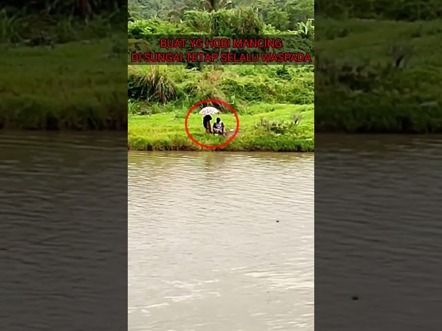 BUAT YG HOBI MANCING‼️ TETAP SELALU WASPADA APALAGI PINGGIR SUNGAI SEPERTI INI,DI MUSIM HUJAN#shorts class=