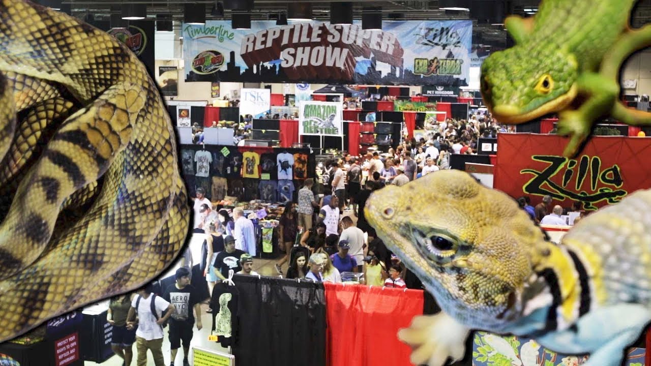 Pomona Reptile Super Show 2017!! - YouTube