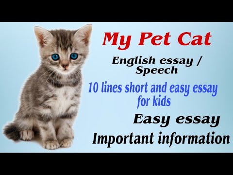 Essay on My Pet Cat | My Pet Cat essay in english for class 1&2 | My Pet  Cat essay in 10 lines | - YouTube