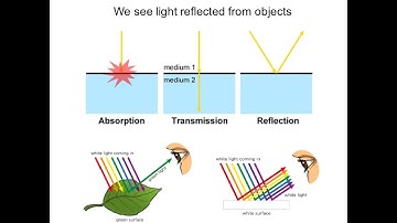 Introduction to light microscopy