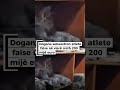 Dogana sekuestron atlete false në vlerë rreth 200 mijë euro