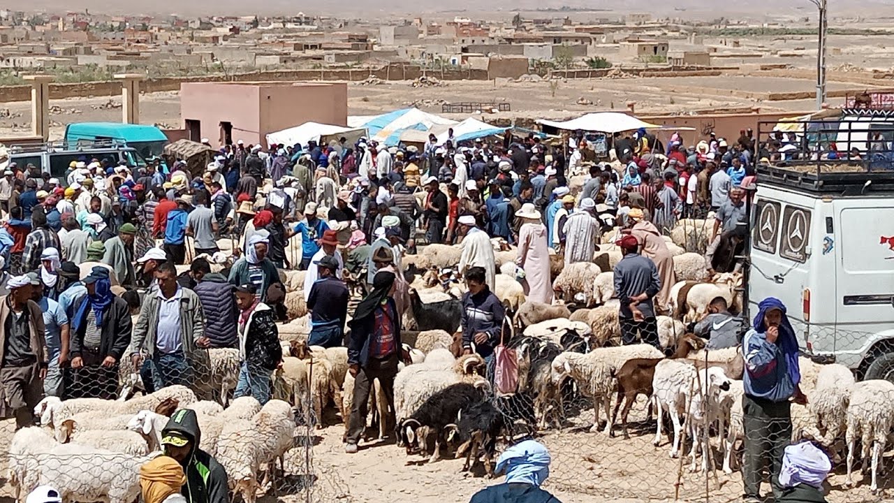 جولة في سوق المشاية ببلدة تالسينت قبل عيد الاضحى المبارك