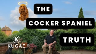 Famous The Reality Of Cocker Spaniels Net Worth