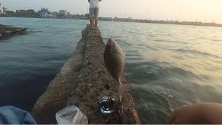 Mancing Ikan Semadar di Pelabuhan Jepara hampir strike ikan Kuro Babon