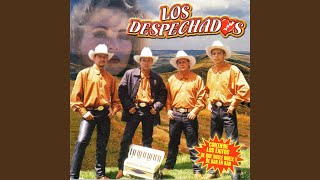 Video thumbnail of "Los Despechados - De Que Duele Duele"