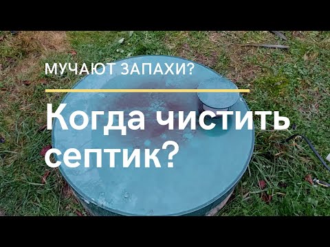 Как часто чистить