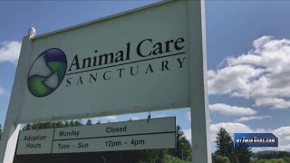 “Paws for a Cause” Motorcycle Benefit Ride raising money for Animal Care Sanctuary