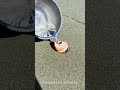 She found raw metal 💦 and turned it into a shell 🐚