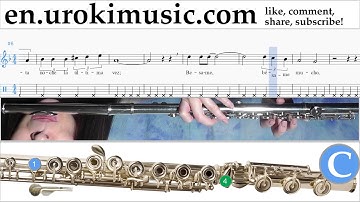 How to Play Flute Besame Mucho Tabs Part#2 um-b-fn352