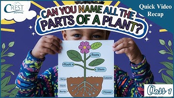 Parts of a Plant for Class 1 | Science Olympiad Preparation | CREST Olympiads Guide