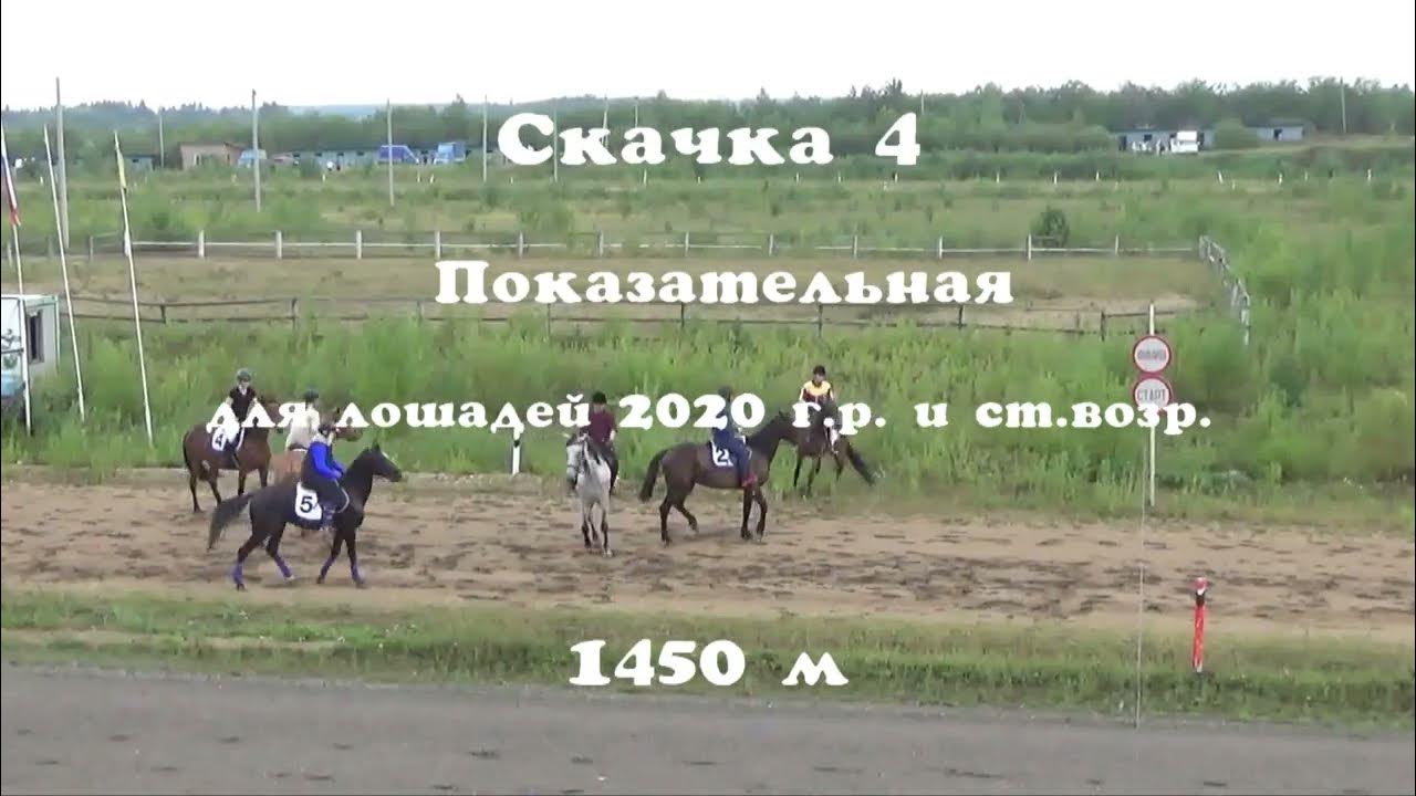 Лошадям 2020 год. Висимский ипподром.