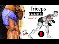 8 Must do Triceps Workout Exercises you should try