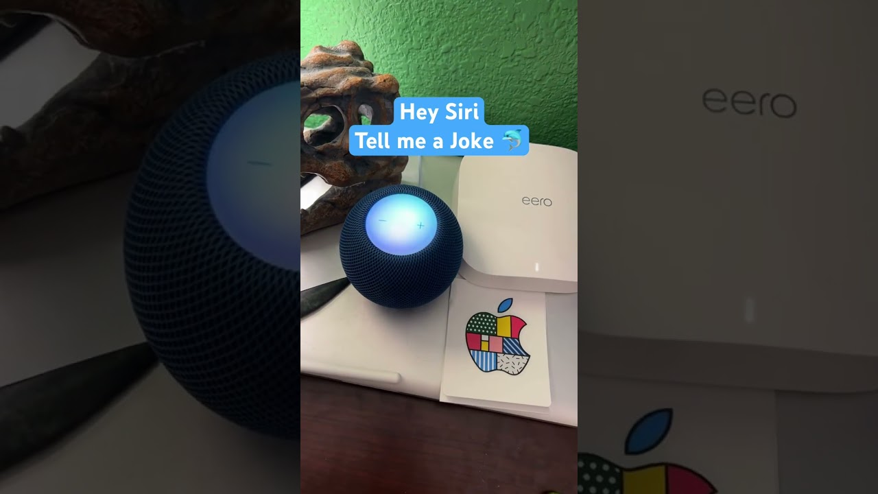 Hey Siri, tell me a Joke 🐬 