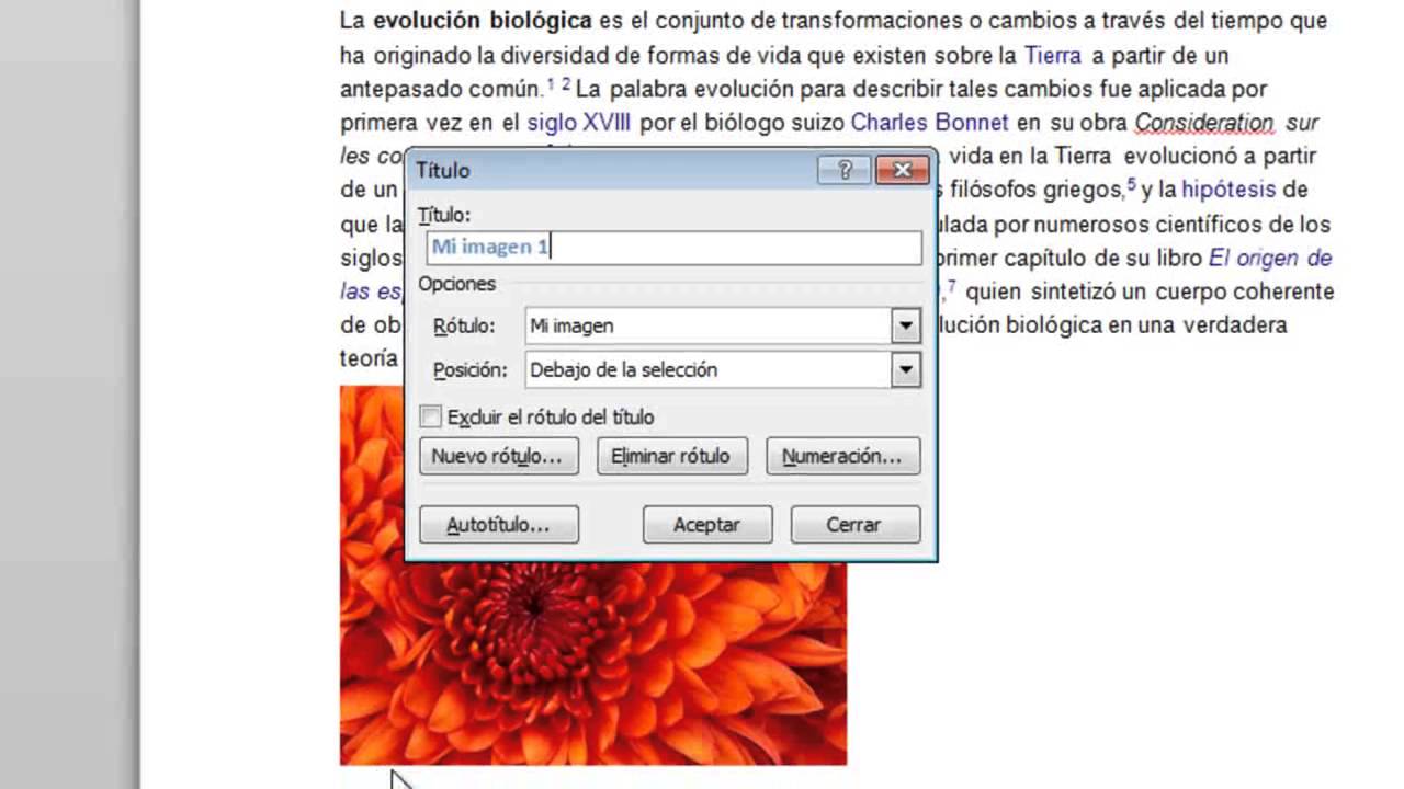 Tabla de contenido word para que sirve