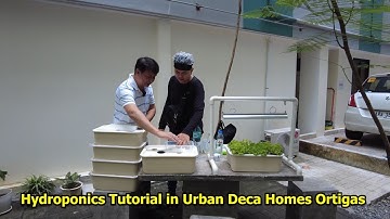 Hydroponics Tutorial Part 1, in Urban Deca Homes Ortigas