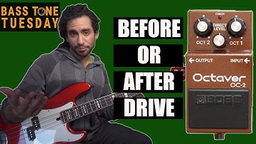 Octave Pedals - Before Or After Drive | Bass Tone Tuesday