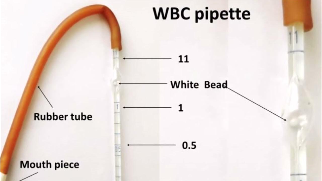 Difference Between WBC and RBC pipette by Panidan M. pvsmededu YouTube