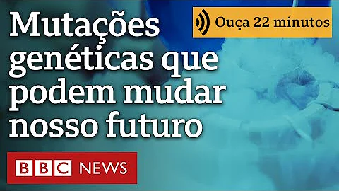 Como as queimadas afetam a Amazônia?
