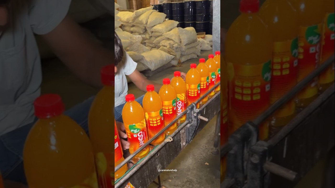 How mango juice is made in factory | How to make mango juice 