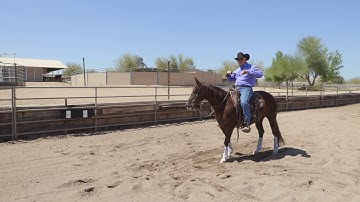 Using the CowTrac Mechanical Cow for Cutting Horses