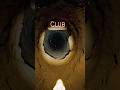 The Secret Underground Lizard Club?🕶️🦎 #NatureIsWild