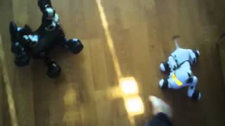 tiger silverlit i cybie wowwee robopet spin master zoomer roaming 1