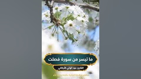 ما تيسر من سورة فصلت للقارئ عبد الولي الأركاني