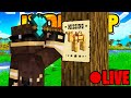 QUALCUNO HA RAPITO GLI ANIMALI SU MINECRAFT VANILLA! Lyon SMP #40
