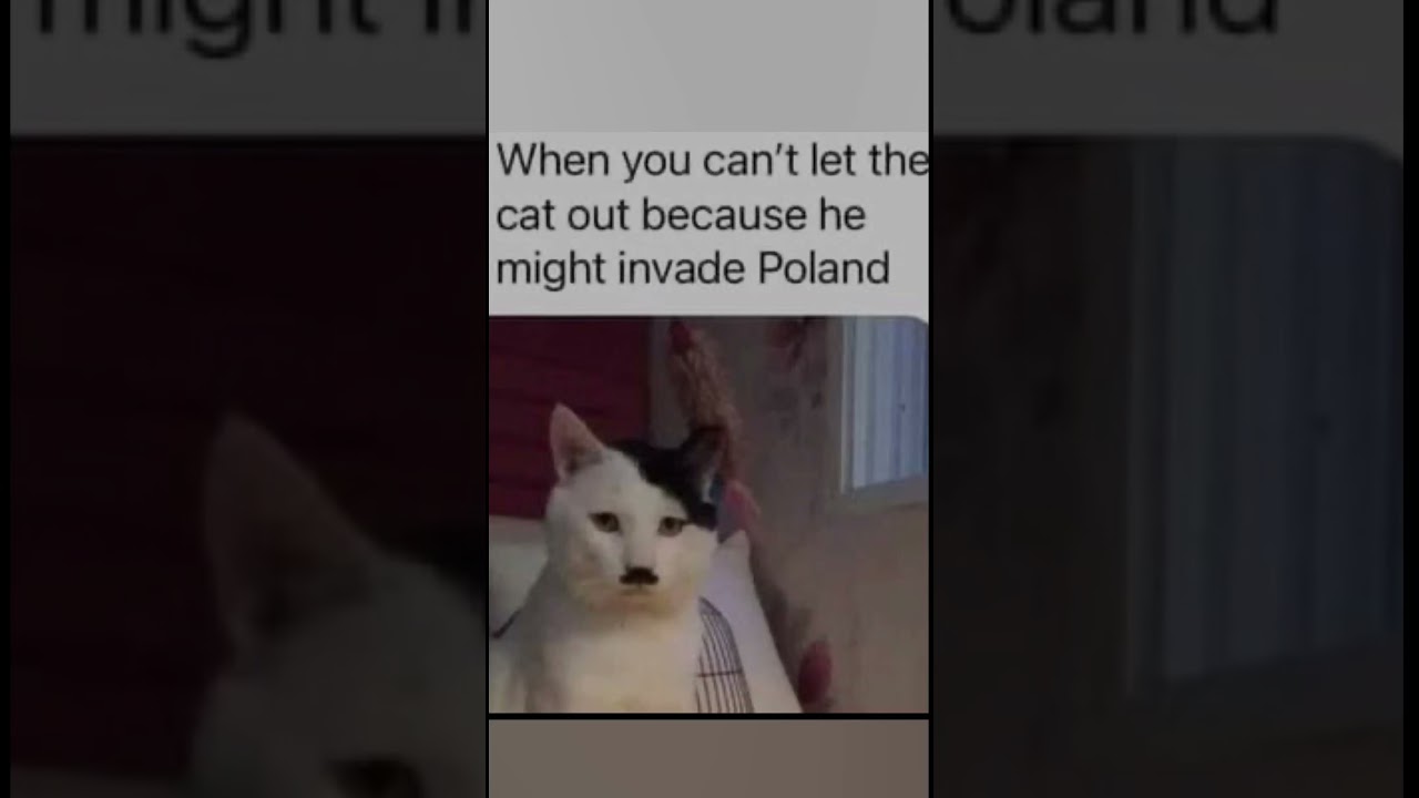 Will someone??? #funny #famus #popular @samandcolby @steak 