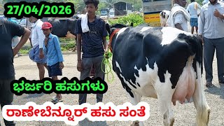 ರಾಣೇಬೆನ್ನೂರ್ ಹಸು ಮಾರುಕಟ್ಟೆ || Ranebennuru Cow Market || Every Sunday Morning || #cowmarket 