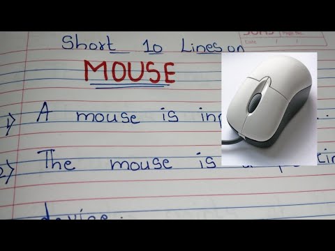 computer mouse essay