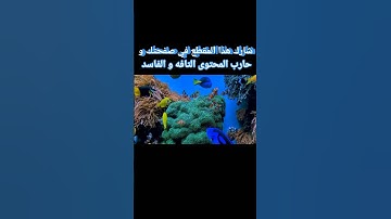القران الكريم ثواني من وقتك تريح قلبك تغدي وروحك # القرآن_الكريم #تلاوة quran# islam# courant #سورة