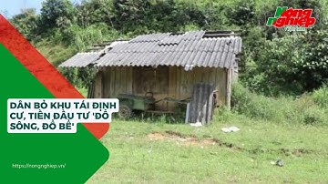 Dân bỏ khu tái định cư, tiền đầu tư 