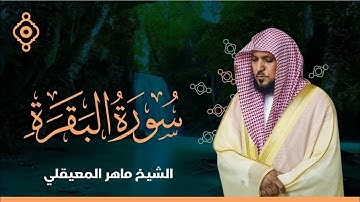 تلاوة هادئة تريح الاعصاب 💚 قران كريم💚 ماهر المعيقلي