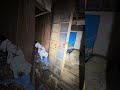 ちょっと待って #心霊配信 #心霊