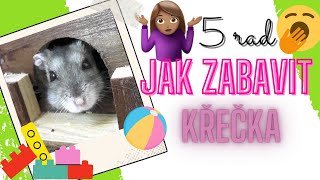 5 RAD, JAK ZABAVIT KŘEČKA!