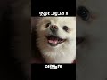 AI가 그려준 웃는 강아지, 어떻게 그려질까? #ai그림 #챗gpt