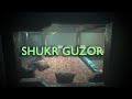 SHUKR GUZOR Visualizer Naveed Deevon Ft Min Minot Prod By Sohail RUMI SHUKR GUZOR Visualizer Naveed Deevon Ft Min Minot Prod By Sohail RUMI