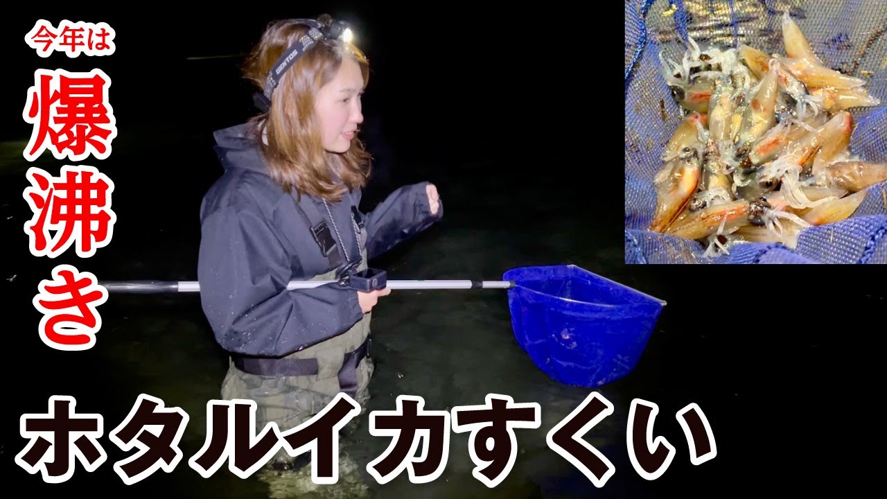 【車中泊女子】富山湾で爆湧き!?ホタルイカすくいが面白すぎた！必要な道具なども徹底解説！