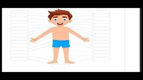 BRIDGE COURSE DAY 26 STD 3 ENV جماعت سوّم ماحول کا مطالعہ26برج کورس دن