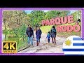 【4K】WALK Montevideo Uruguay UY 4k video SLOW TV travel vlog