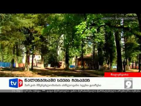 ახალი 9 | ხეების ჩეხვა | 01.07.12