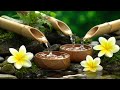 Relaxing Music Sleep 🌿 Piano Music & Nature Sounds Relax Mind, Body and Soul, Spa BGM, Calming Music